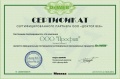 Сертификат сертифицированного партнера ООО «Доктор Веб» 